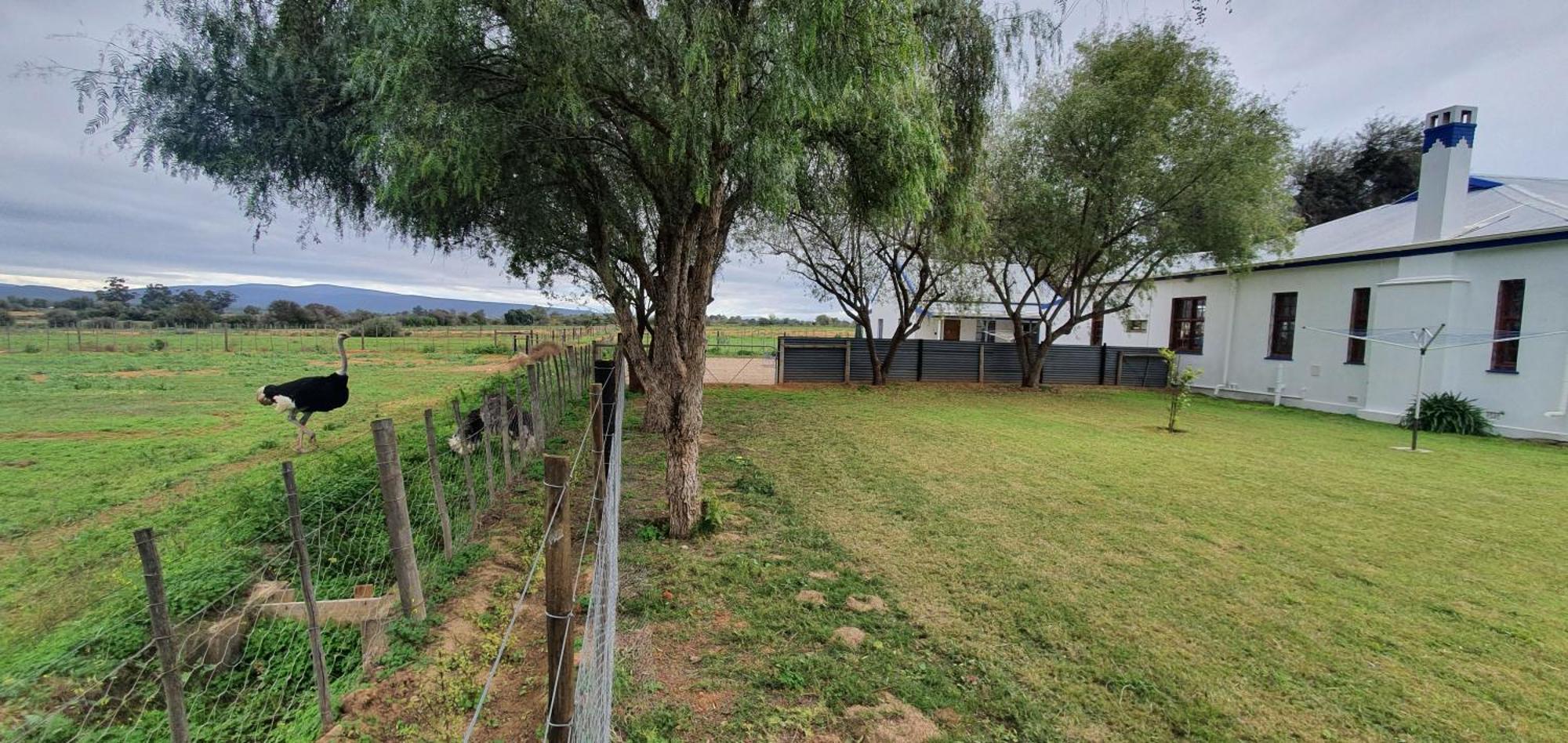 Villa Karoo Leeu Self Catering à Oudtshoorn Extérieur photo