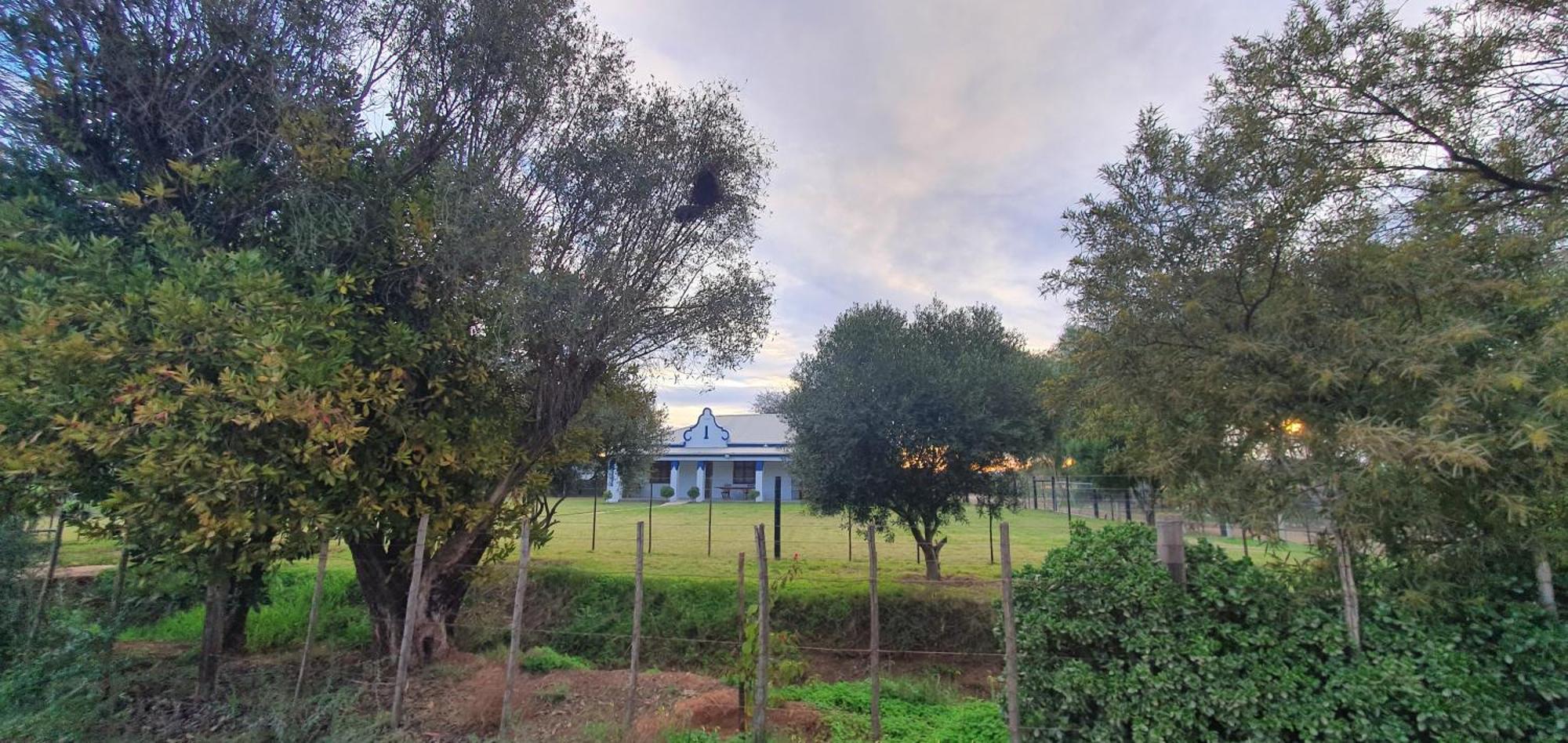 Villa Karoo Leeu Self Catering à Oudtshoorn Extérieur photo